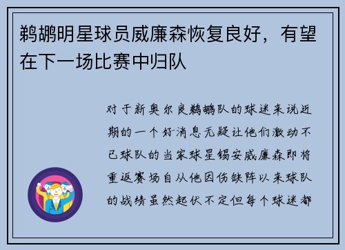 鹈鹕明星球员威廉森恢复良好，有望在下一场比赛中归队